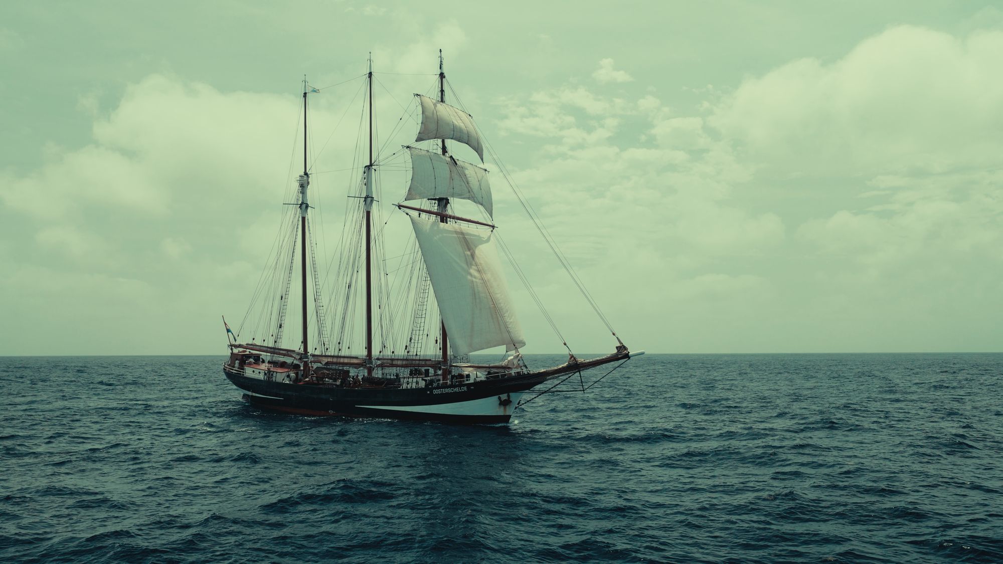 Il film The Ark